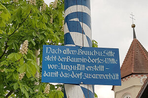 Blaues Schild am Maibaum mit der Aufschrift: Nach altem Brauch u. Sitte steht der Baum in Dorfes Mitte von Jung u Alt erstellt damit das Dorf zusammenhält